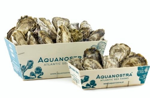 Ostra - Crassostrea Gigas